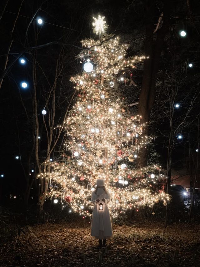 Celebrate Christmas in a Forest of Lights at Karuizawa Kogen Church