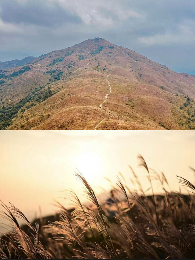 深圳當天往返大東山徒步快走起