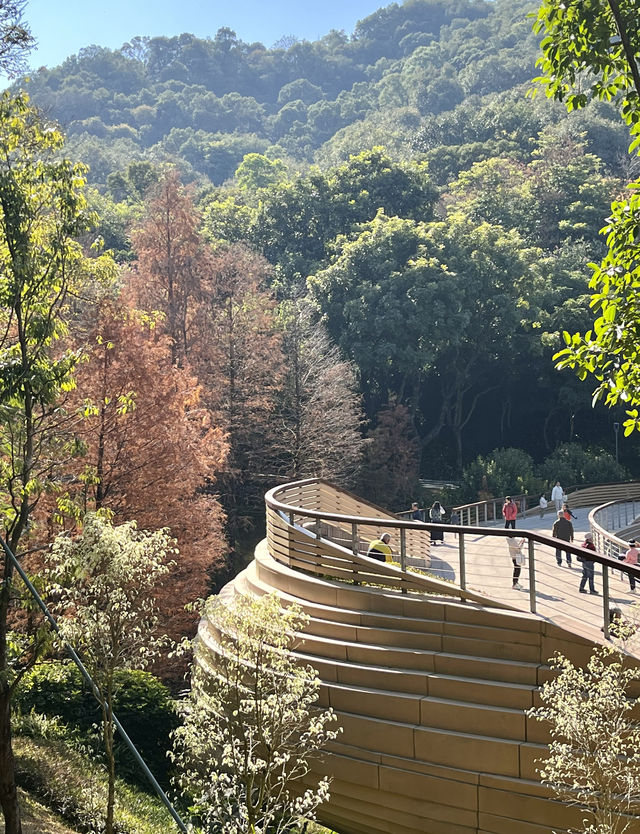 雲溪植物園