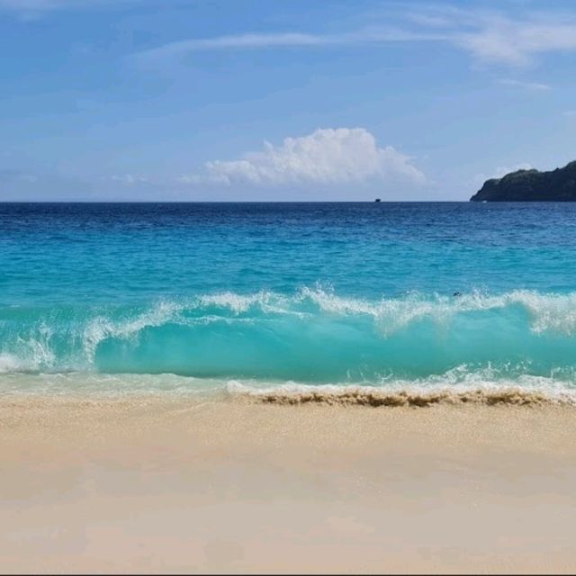 ❤️Kelingking Beach,Nusa Penida @Bali