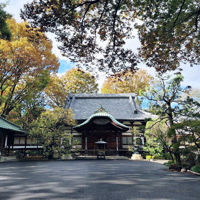 Gessōji Temple, Musashino Kichijoji Tokyo 🇯🇵