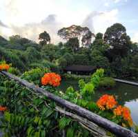 Serene Oasis in the City: Singapore Botanic Gardens