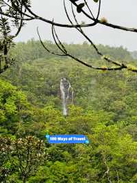 🇲🇺 Black River Gorge Alexandra Waterfall