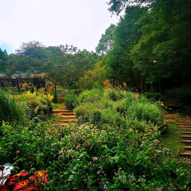 神戶布引香草園