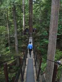 【バンクーバー🇨🇦】大自然に囲まれた吊り橋を楽しもう！