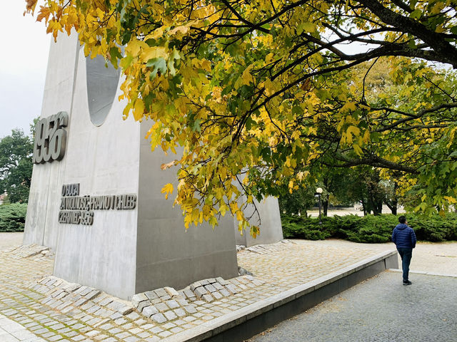 Autumn Reflections: Strolling Through Adam Mickiewicz Park