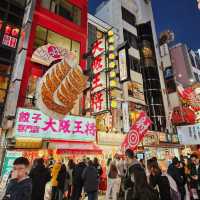 Exploring Dotonbori: A Day and Night Adventure