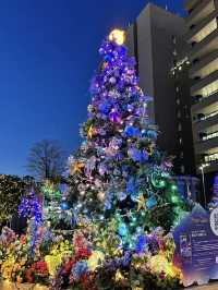 Enchanting Christmas at ILLUMIERE Synesthesia Hills: A Colorful Wonderland in Japan