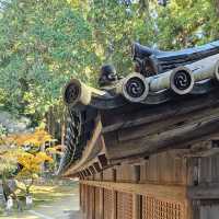 書寫山圓教寺〔講法堂〕的歷史與魅力