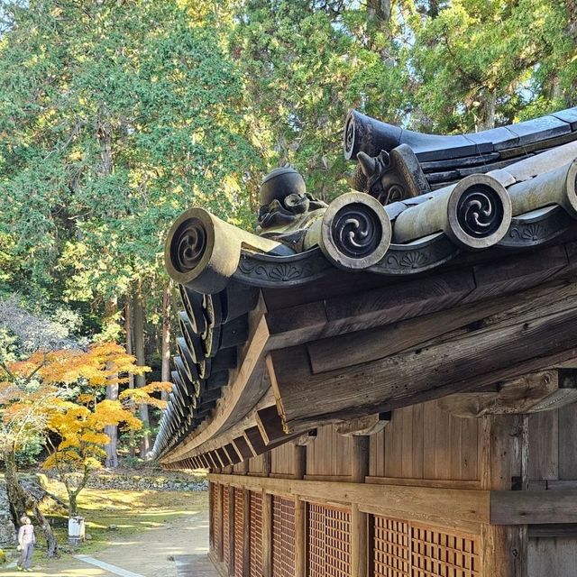 書寫山圓教寺〔講法堂〕的歷史與魅力