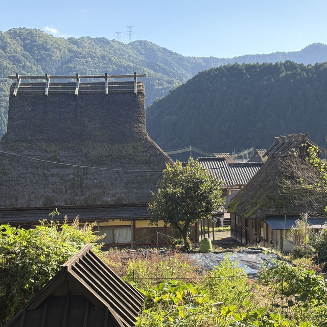 Miyama folk museum (Thatched-roof houses)