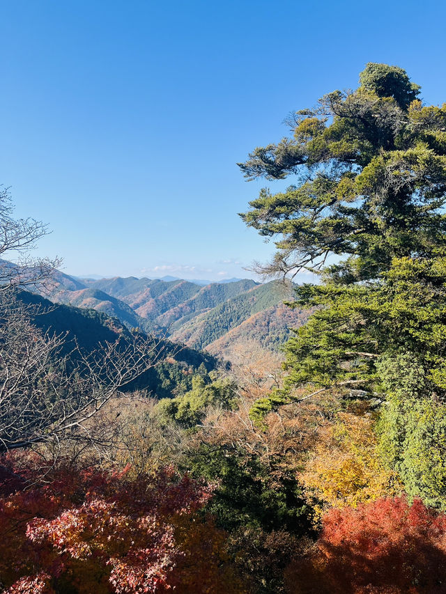 秋日高尾山，紅葉映照的心靈之旅