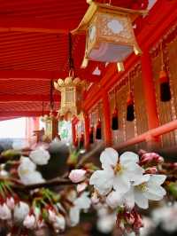 A Rainy Spring Stroll Through Fushimi Inari Taisha