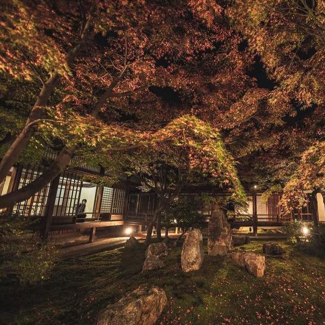 大本山·建仁寺：京都禪意的深處