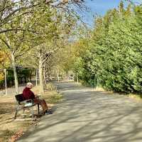 Morning Magic in Tineretului Park