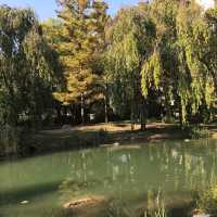 Kariya Park in autumn 🇨🇦