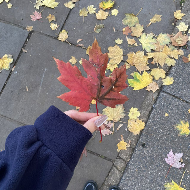 London in Fall: A Symphony of Changing Colors