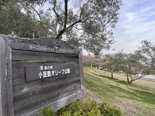 Japan's Kagawa 🌿 Shodoshima Island 🧹 discovers a dreamy paradise.