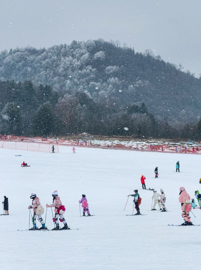 湖北人有自己的雪國冬遊神農架2天1夜攻略