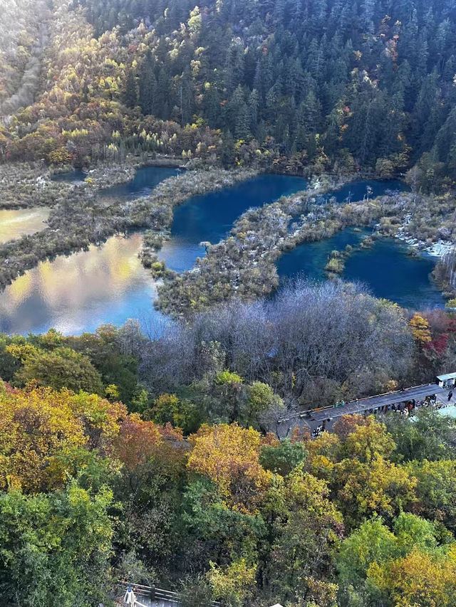 Exploring Jiuzhai Valley: A Natural Wonderland