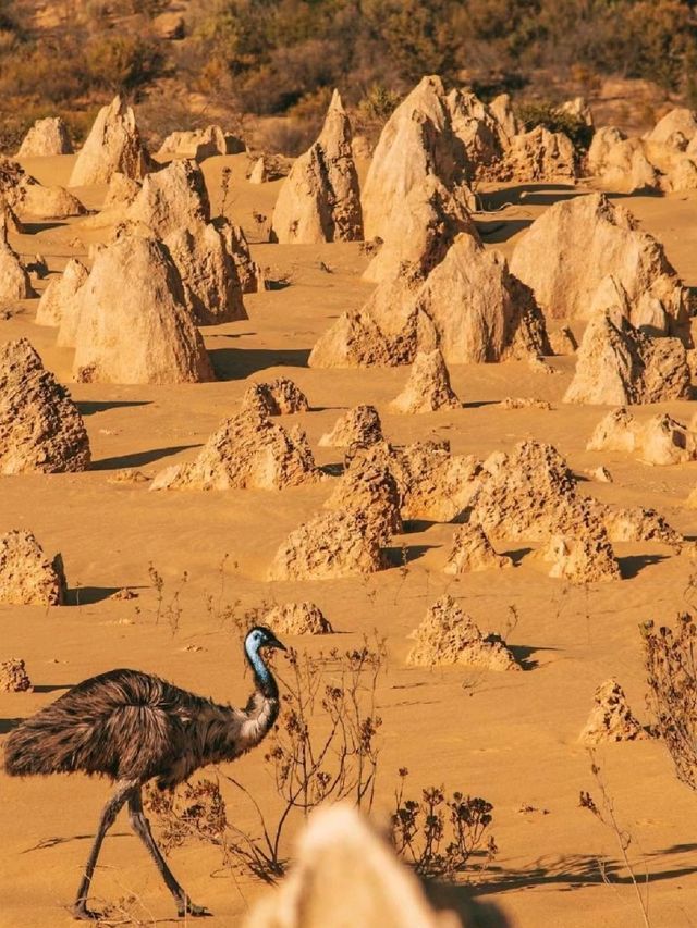 The Pinnacles Desserts in Australia ✨❤🤩