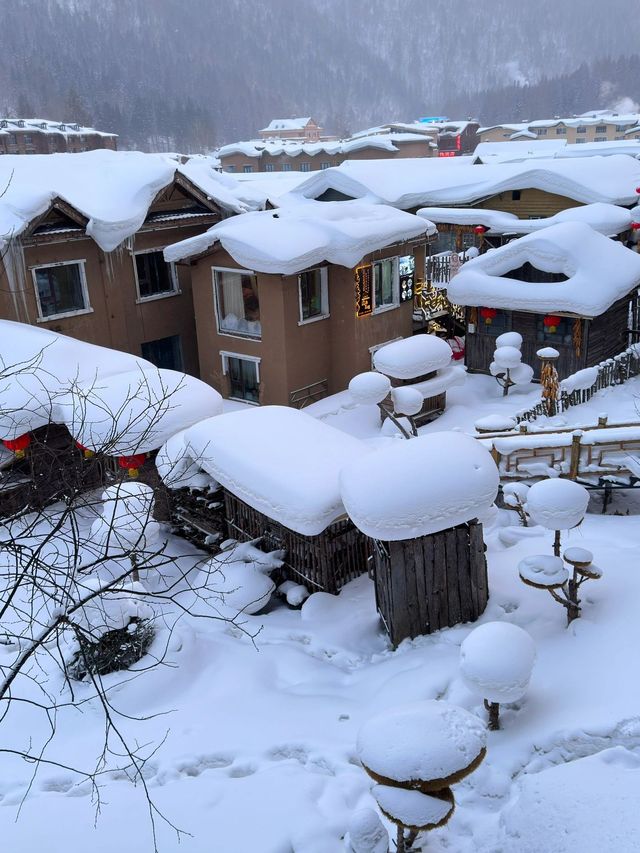 哈爾濱-雪鄉2日親子遊玩轉冰雪世界攻略