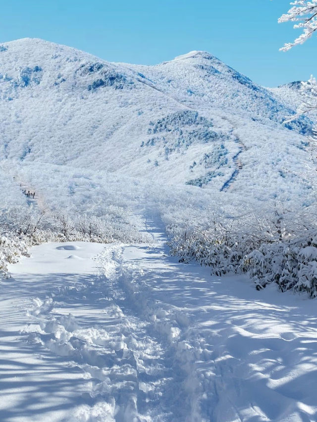 江浙滬初雪，徒步天堂的冰雪奇緣