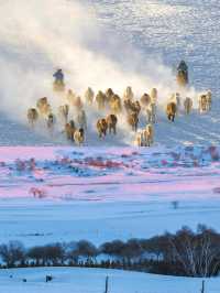 人生建議：冬天務必帶娃去趟烏蘭布統玩雪