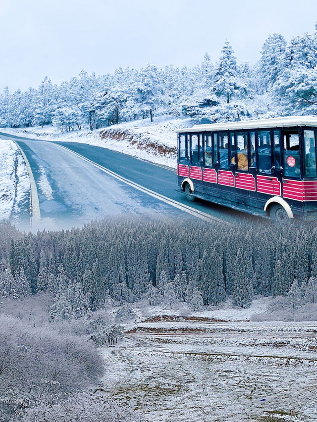 重慶武隆仙女山冰雪夢幻遊攻略。
❄️❄️常見問題答疑❓