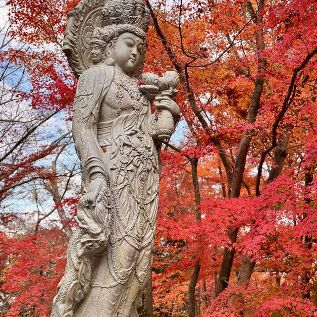 京都兩日遊：探索隱藏的寶石與寧靜之美