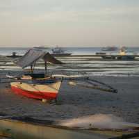 Bohol: Nature’s Paradise in the Philippines