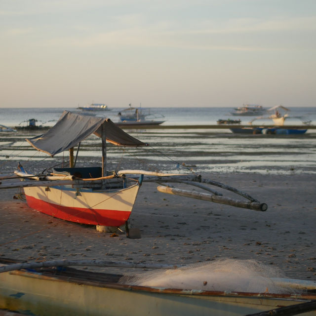 Bohol: Nature’s Paradise in the Philippines