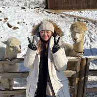 Meeting the Alpacas in Korea.