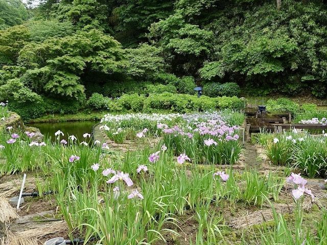 Utatsuyama Park