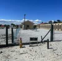 Robben Island: Walking in the Footsteps of History