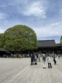 Serenity in the Heart of Tokyo: A Walk through Meiji Jingu