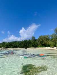 Anse Source d’Argent: Your Slice of Beach Bliss Awaits!