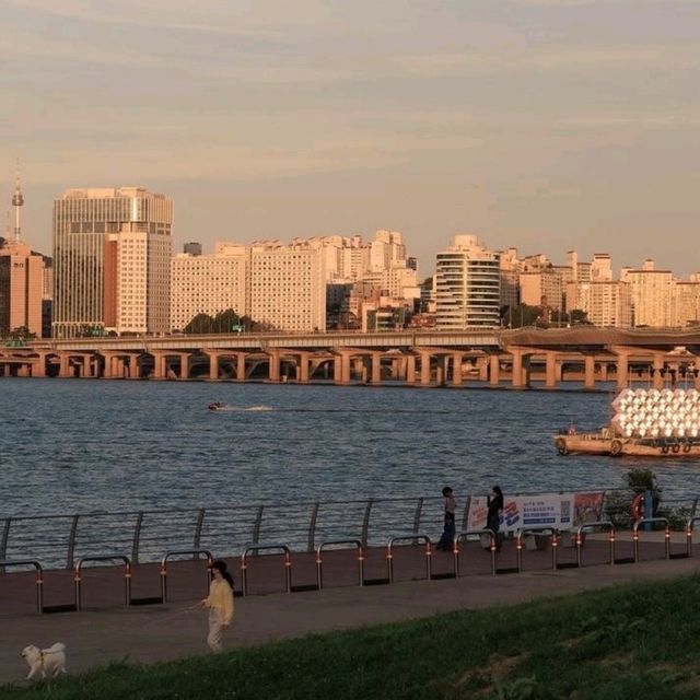 汝矣島漢江公園：都市中的自然綠洲