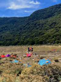 Camping At Surya Kencana Mt Gede ⛺️ 