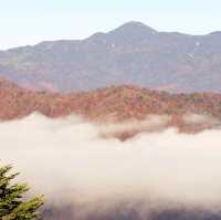 【栃木県】奥日光のシンボル！中禅寺湖・八丁出島の紅葉