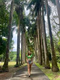 📍Pamplemousses Botanical Garden, Mauritius 🇲🇺