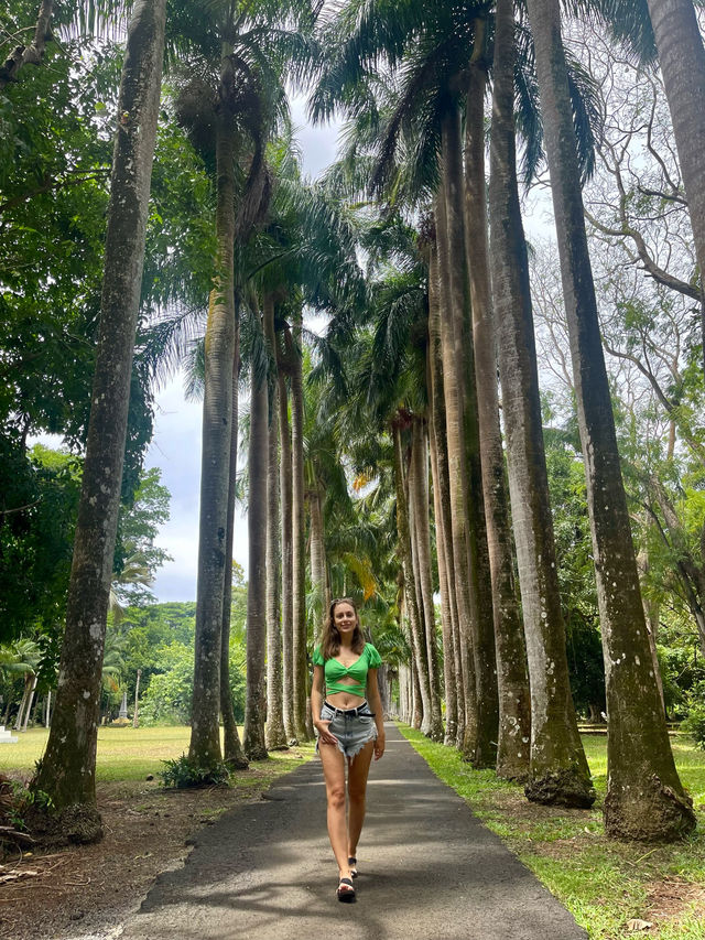 📍Pamplemousses Botanical Garden, Mauritius 🇲🇺