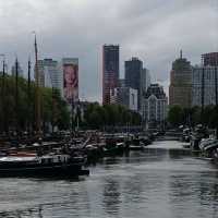 The "True" Capital of the Netherlands: Rotterdam 