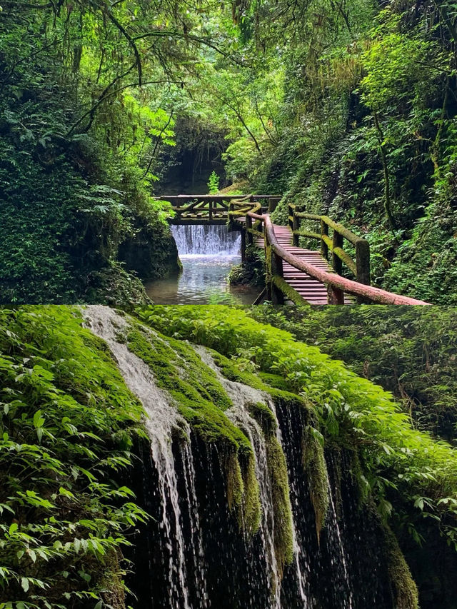 青城後山這樣走最輕鬆（最大限度欣賞美景）