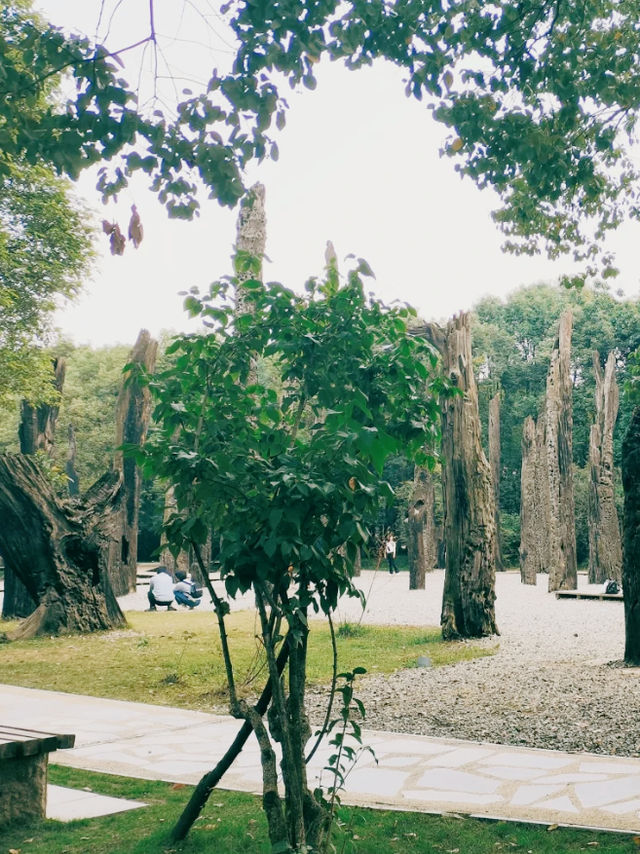 金沙遺址博物館。