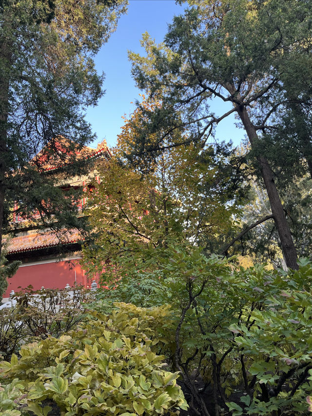 探秘中軸線之景山公園。