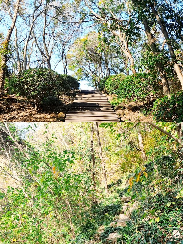 南京周末好去處|終於去方山徒步啦