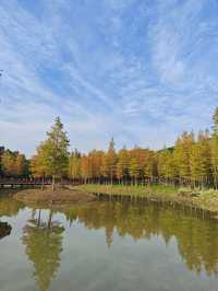 深圳紅花嶺公園