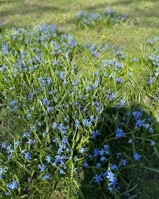 加拿大倫敦 | 伊芙琳公園：寧靜與自然的完美融合