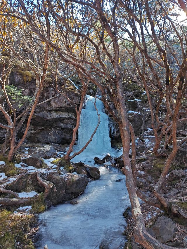 轎子雪山旅遊攻略